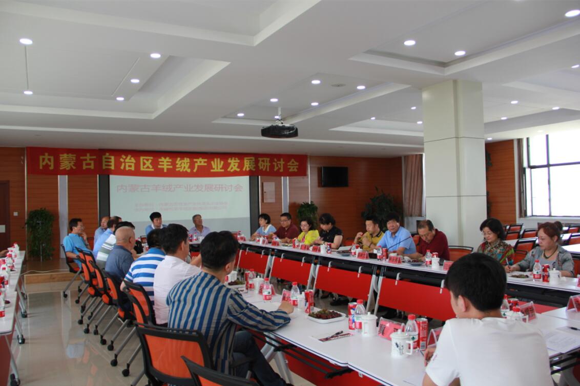 齊心協(xié)力，共謀內(nèi)蒙古羊絨產(chǎn)業(yè)發(fā)展新思路