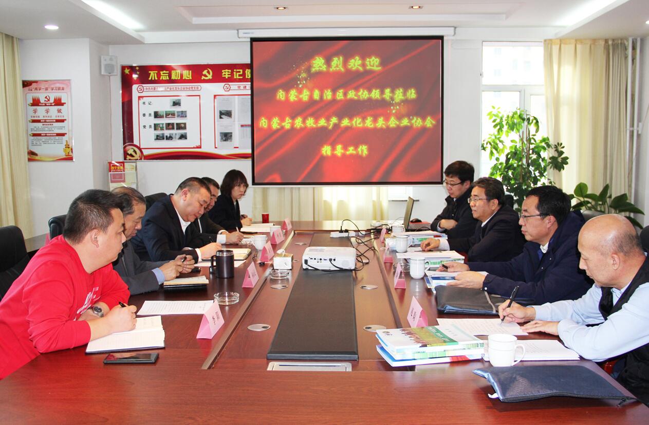 自治區(qū)政協(xié)副主席魏國楠蒞臨協(xié)會指導(dǎo)工作