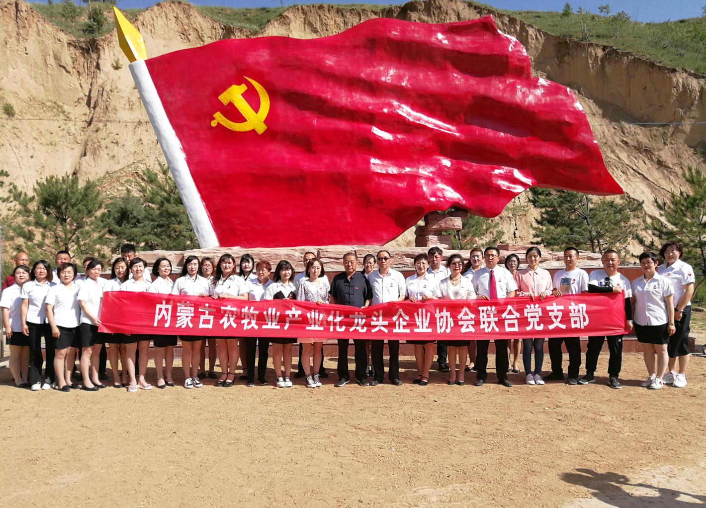 內(nèi)蒙古農(nóng)牧業(yè)產(chǎn)業(yè)化龍頭企業(yè)協(xié)會走進石人灣村開展“辦實事、解難題，送溫暖，傳黨恩”公益活動